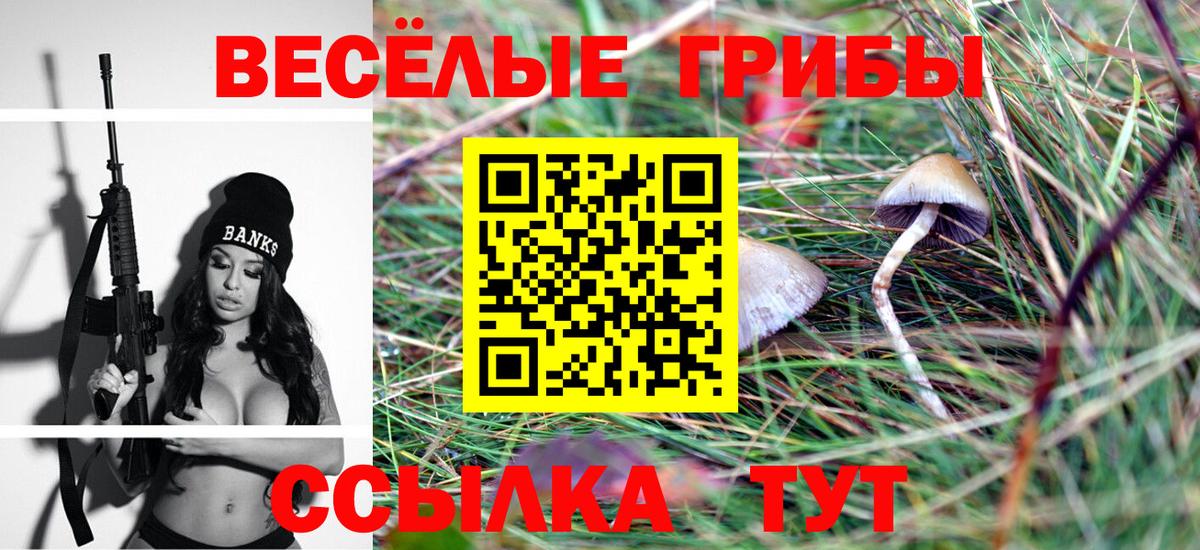 Борзя  Галлюциногенные грибы Cubensis  Вход с VPN 